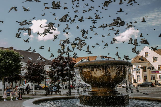 Фото экскурсии - Автопутешествие по старинным городкам Калининградской области с аудиогидом по прусским землям - 7