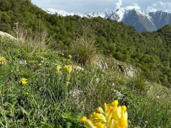 В Ингушетию — страну башен и легенд - фото 3