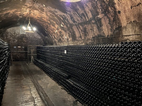 В сердце российской Шампани: из Анапы в Абрау-Дюрсо - фото 3