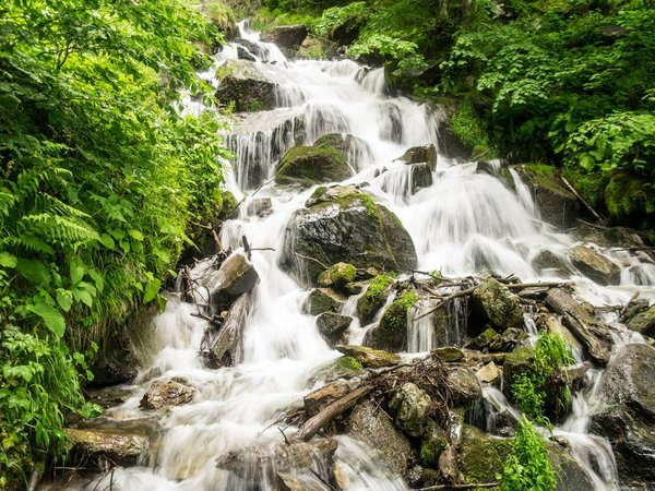 Нестандартный поход к водопаду Кейва из Красной Поляны - фото 2