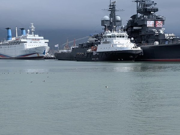 Анапа, Новороссийск и Геленджик за 1 день - фото 4