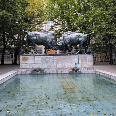 Влюбиться в Калининград
