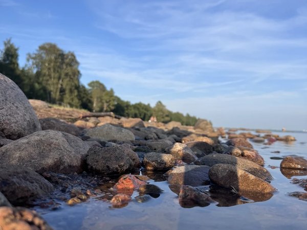 Море, ветер, лес сосновый — мы на байке в Комарово! - фото 4