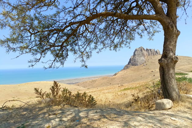 Фото экскурсии - Розовое озеро, Радужные горы, гора Бешбармаг, дегустация икры и + 2 локации - 6