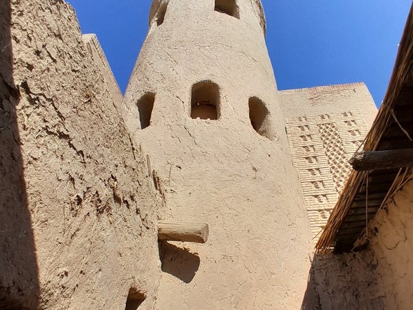 Город кочевников и урочище Тамгалы-Тас (всё включено) - фото 3