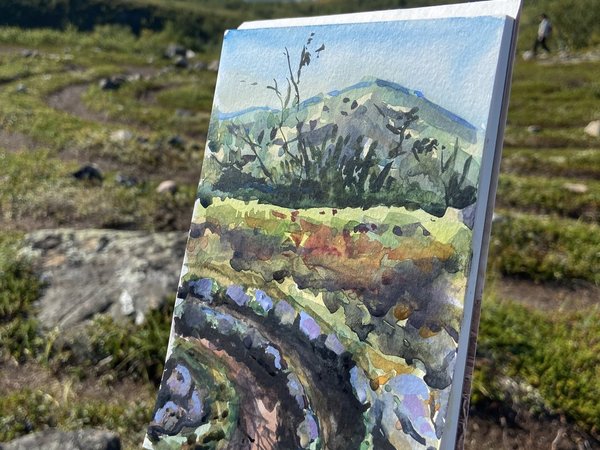 Доисторические лабиринты Лапландии - фото 3