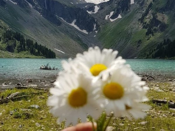 По озёрам, горам и степям с комфортом: 4 дня на Алтае, фото 5