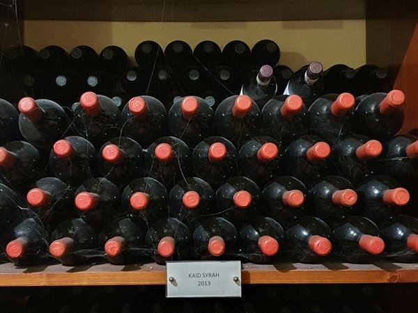 Дегустация вина на винодельне близ Палермо - фото 3