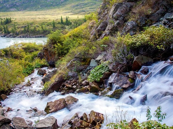 Дикий Алтай: Ороктойский мост, петроглифы и водопад Бельтертуюк - фото 4