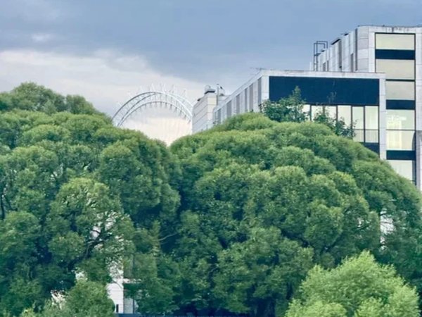 На теплоходе по Северным островам Санкт-Петербурга - фото 3