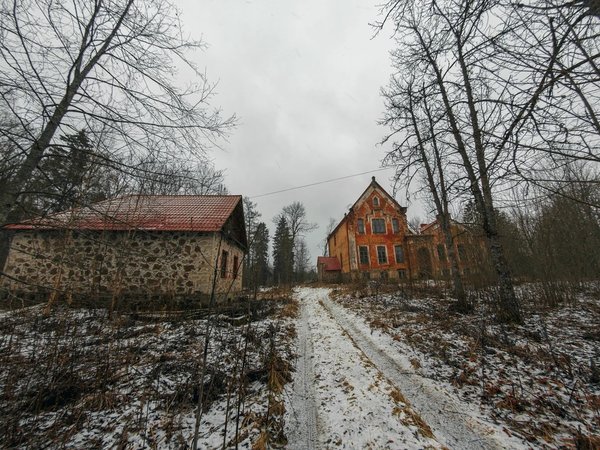 Скрытые жемчужины Ленинградской области: поездка из Петербурга - фото 4