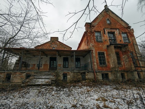 Скрытые жемчужины Ленинградской области: поездка из Петербурга - фото 3