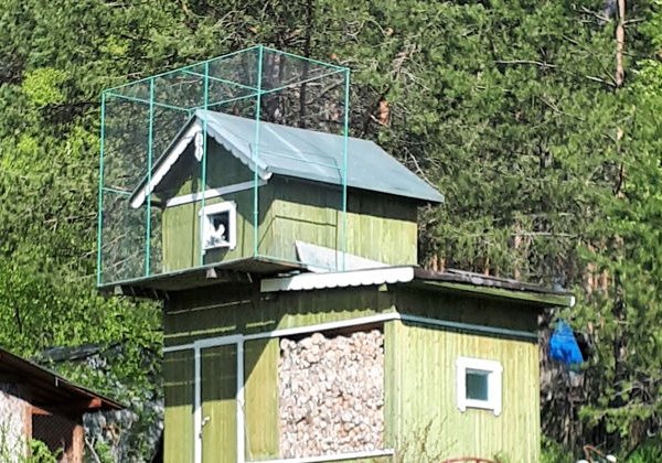 Необычные маршруты, путешествие в г. Медвежьегорск - фото 3