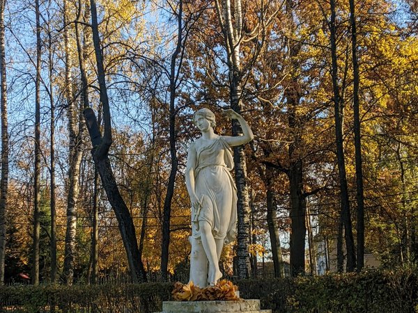 Истории любви на аллеях Павловского парка. - фото 4