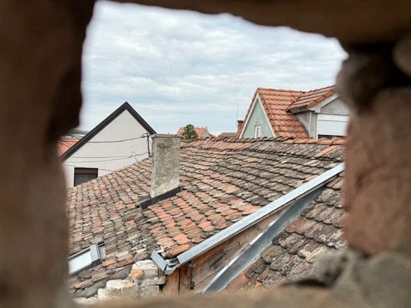 Это тоже Белград? Купцы, чума и граница империй в Земуне