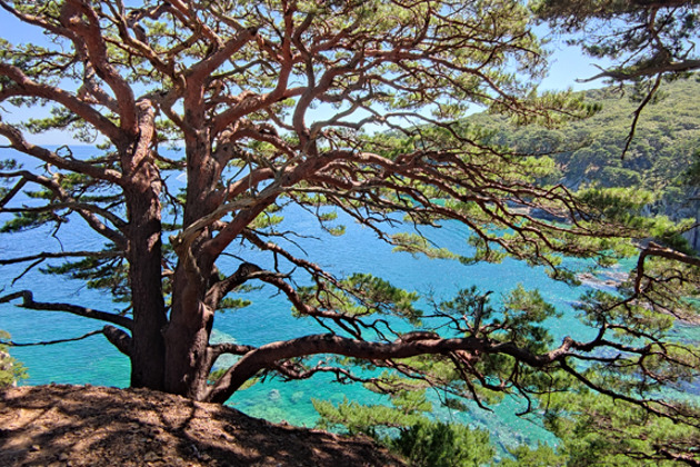 Фото - экскурсия: Джип-тур к полуострову Гамова и острову Томящегося сердца