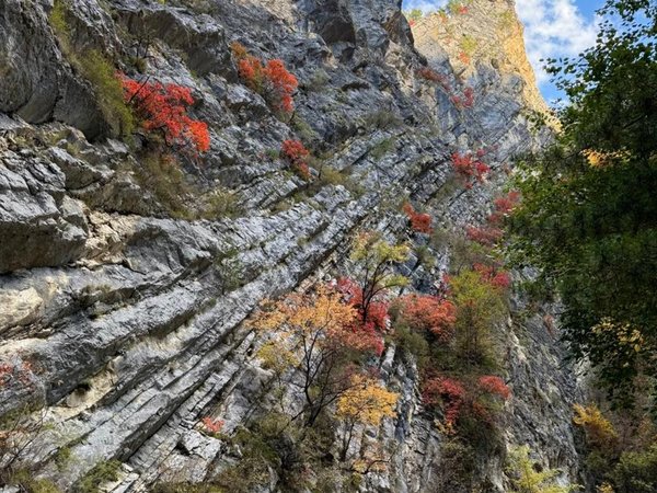 В Гуниб и Карадахскую теснину — с групповой экскурсией из Избербаша - фото 3