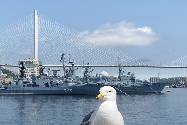 Владивосток → Русский остров: мосты, форты, край земли