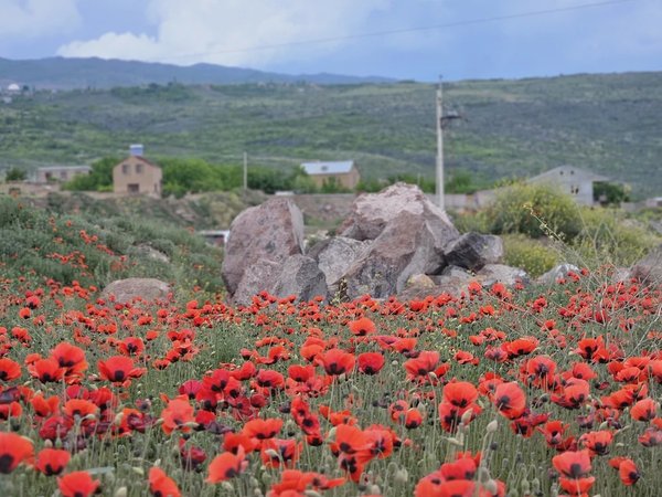К корням армянской истории: Тегер и Аршакуни - фото 3