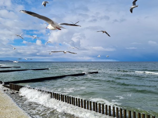 Яркое путешествие в Светлогорск, Балтийск и Янтарный из Зеленоградска - фото 4
