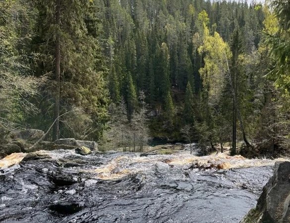 Карельский экспресс: горный парк «Рускеала», знаменитые водопады и экскурсии на выбор, фото 5