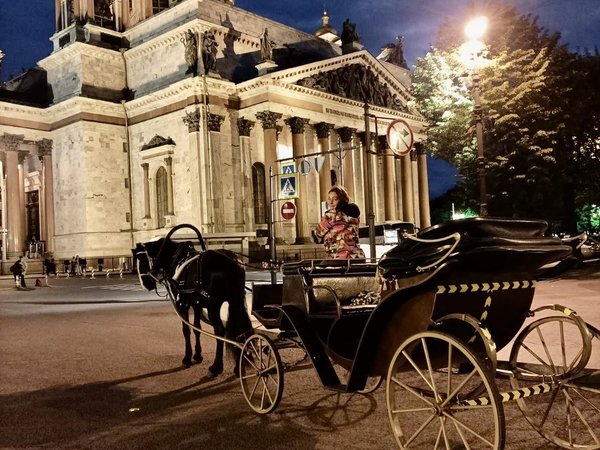 В конном экипаже по Невскому проспекту! - фото 4