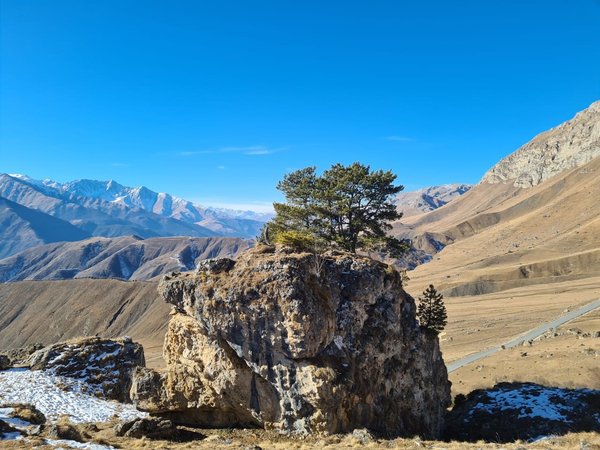 В Горную Ингушетию по следам старцев  - фото 4