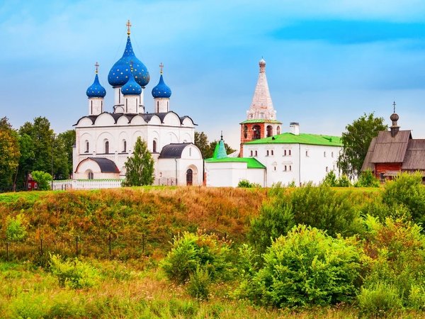Экспресс-путешествие по Суздалю, Владимиру и Боголюбову (из Москвы) - фото 4