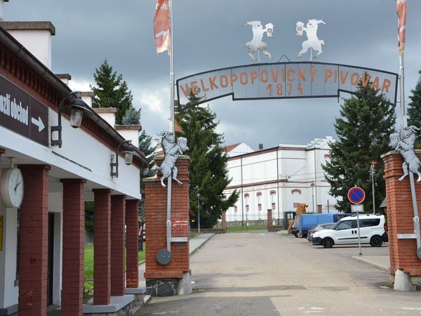 В сердце чешского пивоварения: экскурсия с дегустацией - фото 2