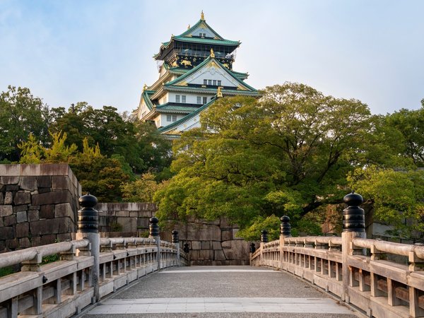 Познакомиться с Осакой