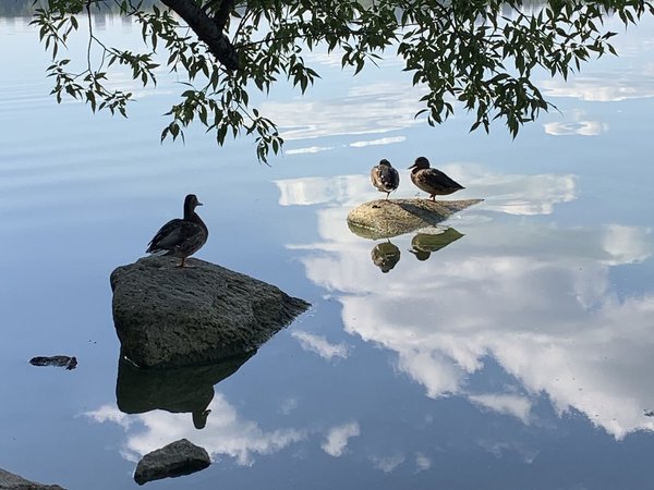 Стоянка первобытного человека возле озера Шарташ - фото 4