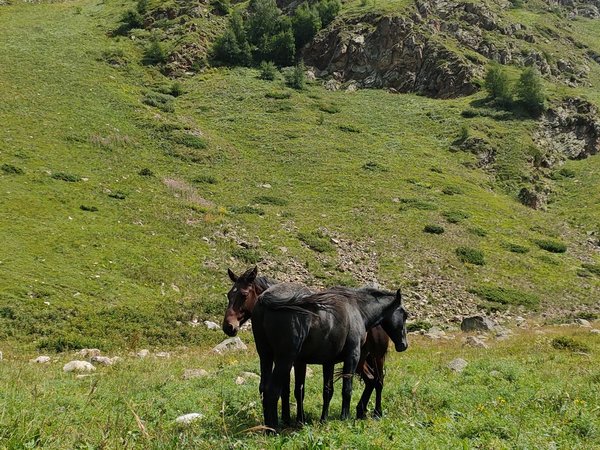 Гора Уллу Тау, исполняющая желания, и термы Гедуко - фото 2