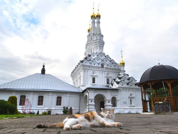 Уездный город Вязьма (на вашем автомобиле) - фото 3