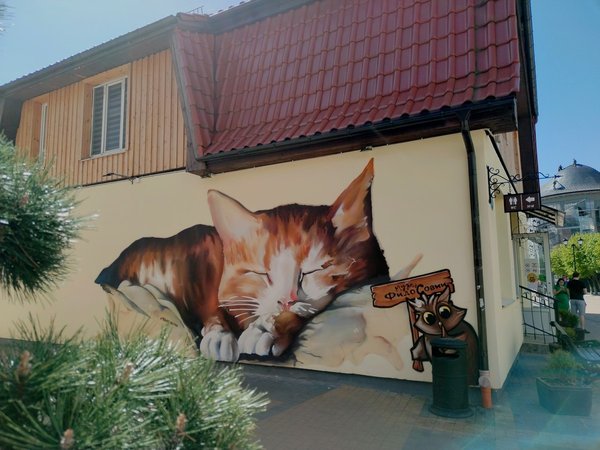Душевное путешествие на Куршскую косу (из Светлогорска) - фото 3