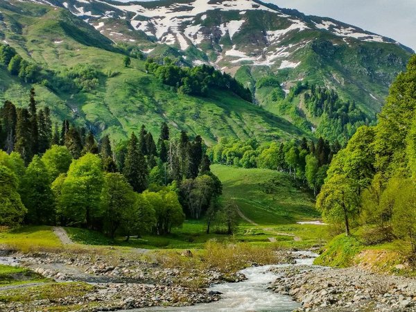 В седле, на внедорожниках и пешком: 5 дней в Абхазии - фото 4