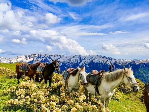 В седле, на внедорожниках и пешком: 5 дней в Абхазии - фото 1