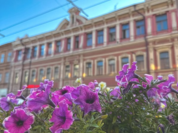 Питер в Самаре — прогулка по парадным - фото 4