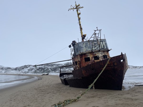 Кинематографичная Териберка на берегу Баренцева моря — из Мурманска - фото 3