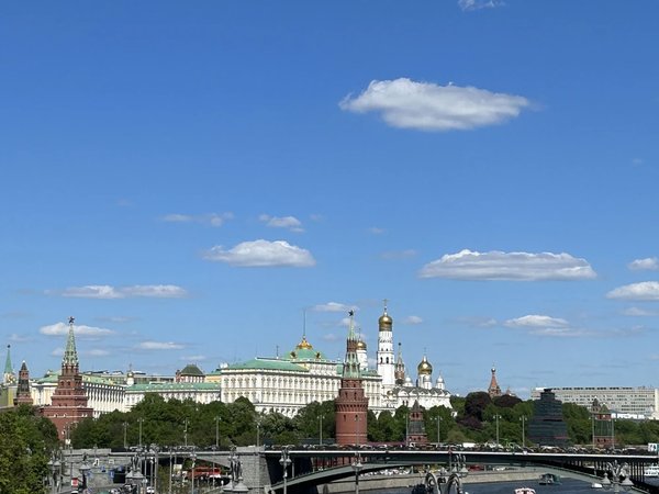 Васнецовы. От русской сказки к исторической летописи. Индивидуальная экскурсия - фото 3