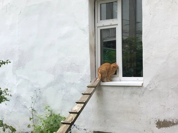 Из жизни сладостной и косной: вылазка во дворы Ярославля