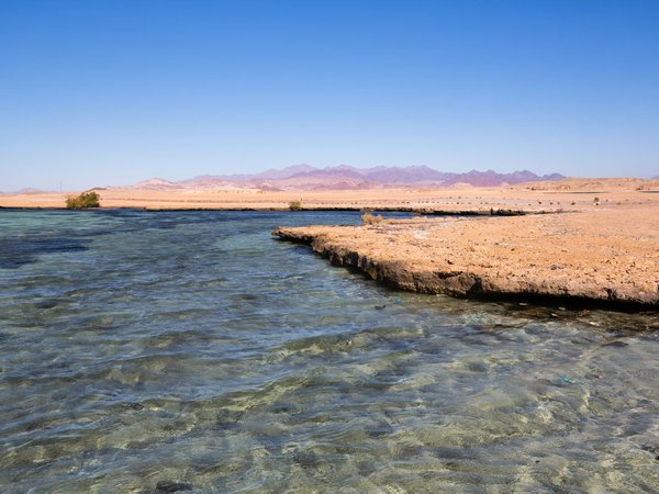 Из Шарм-эль-Шейха — к Белому острову и нацпарку Рас-Мохаммед на яхте - фото 2