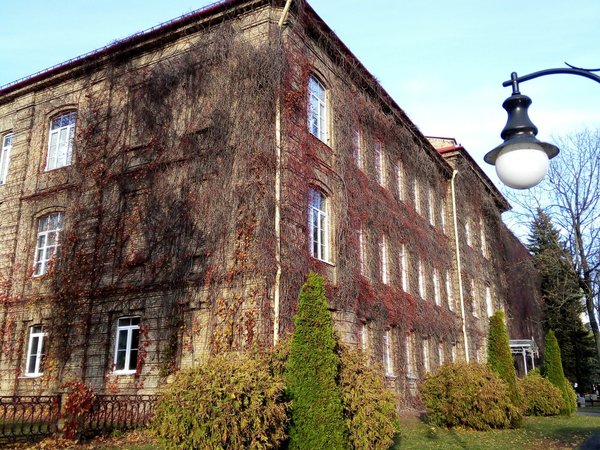 Королевский Гродно, или Городница Тизенгауза - фото 4