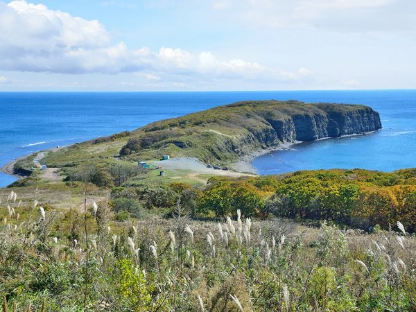 Лучшие панорамы Владивостока, остров Русский и морские бухты за 1 день - фото 2