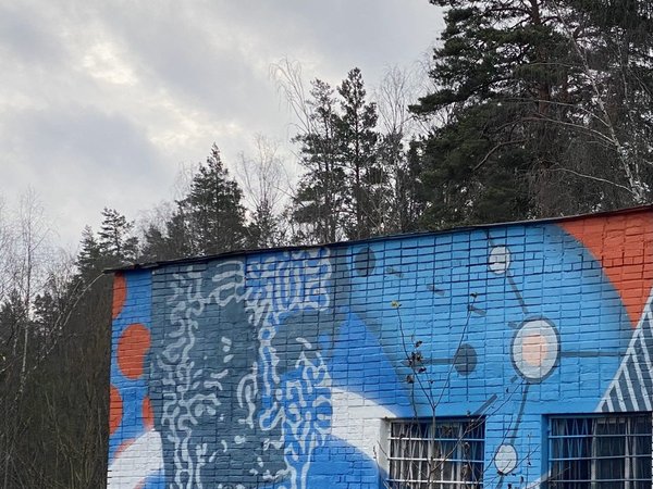 Треккинг по Мещёрскому лесу в окрестностях Черноголовки - фото 3