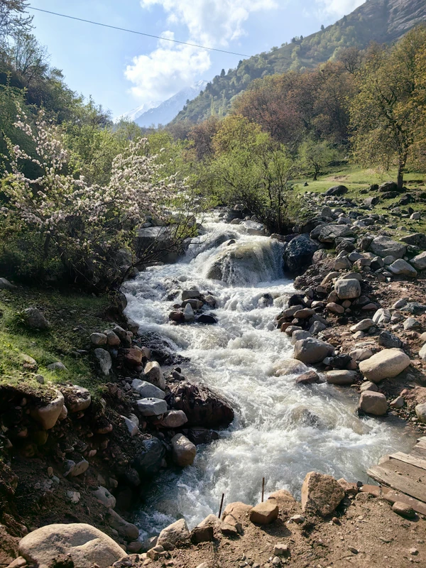 Треккинг из Варзоба — в Оджук и Кабанье ущелье