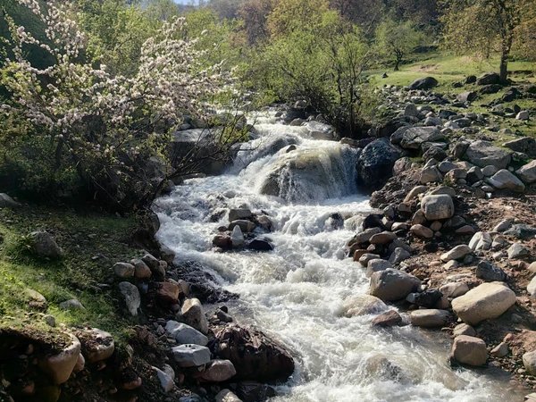 Треккинг из Варзоба — в Оджук и Кабанье ущелье