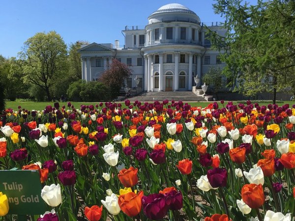 Семейная прогулка по Елагину острову с иммерсивным аудиогидом - фото 3