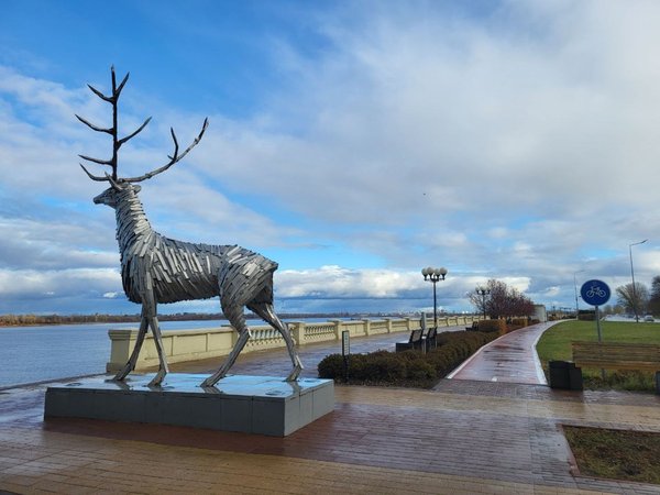 Кремль и набережные Нижнего Новгорода за 3,5 часа