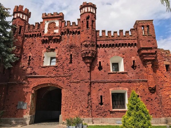 По городам Беларуси: крепости, замки и Беловежская пуща - фото 3
