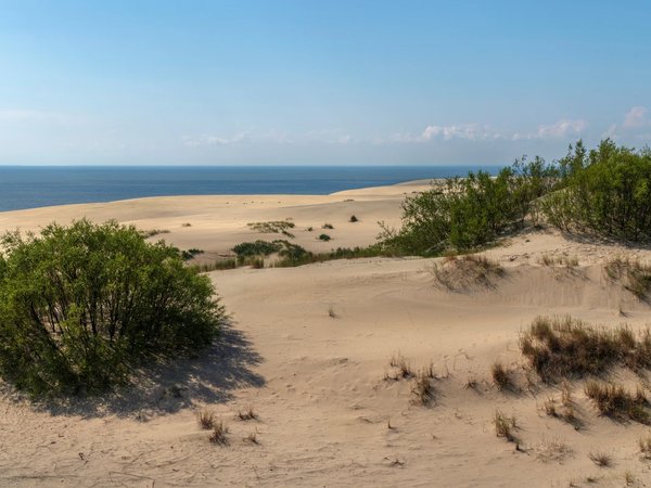 Куршская коса + немецкий форт из Калининграда - фото 4